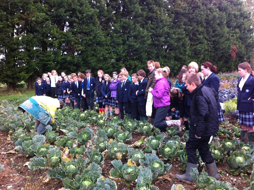 Student Visit to Ripple Farm Organics