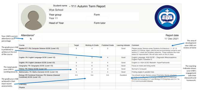 An example Year 11 report